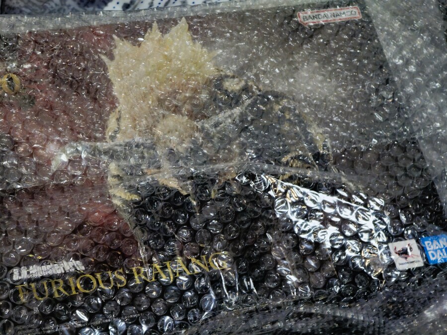 몬스터헌터) 어제 온 라잔 피규어_1.jpg