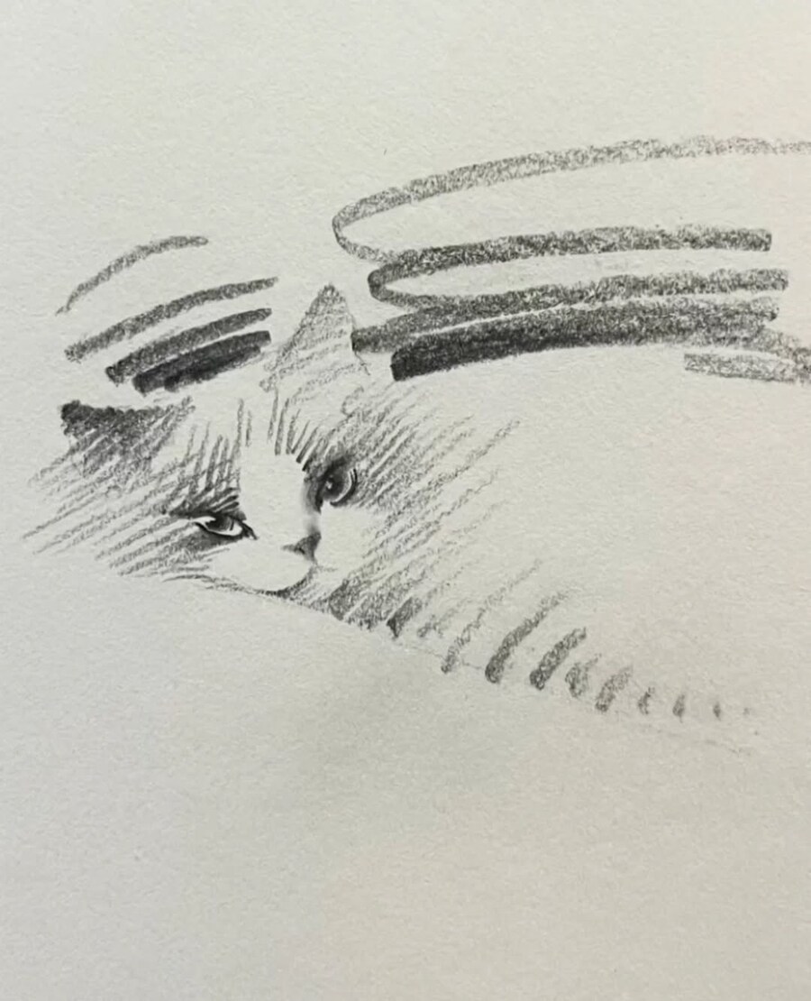 중국 화가의 고양이 그림_10.jpg