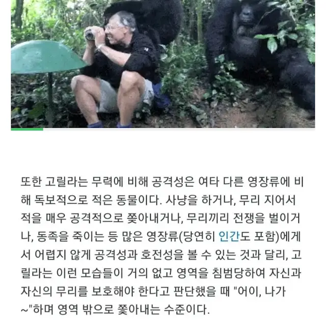 엄청 강하지만 위험하지 않다는 동물_2.webp