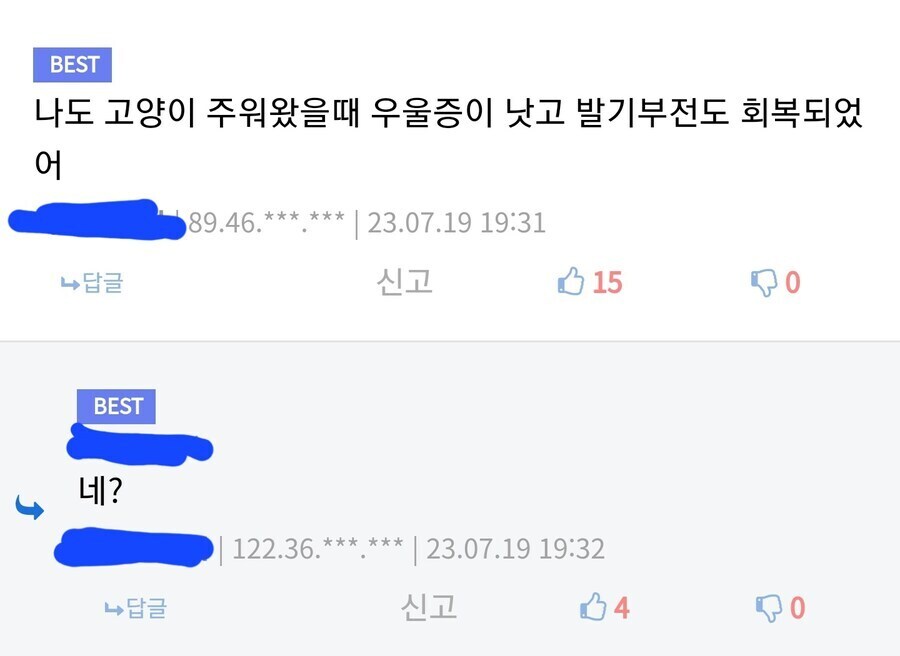 고양이 주워오면 좋은 점_1.jpg