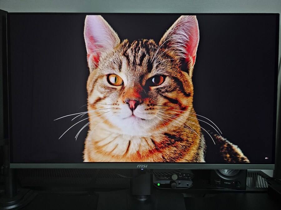 MSI MPG 321URXCL QD-OLED 240 4K UHD 사용 후기_1.jpg
