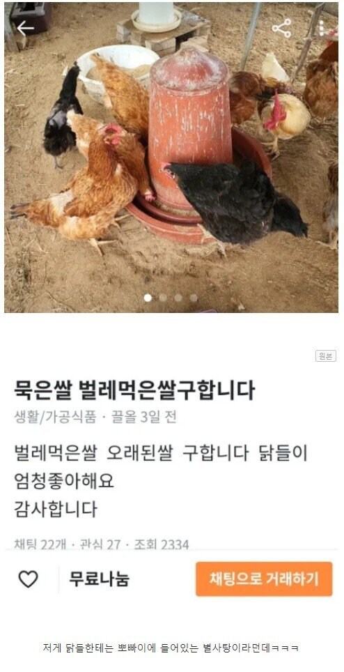 묵은쌀 벌레먹은 쌀 다 구한다는 사람.jpg_1.jpg