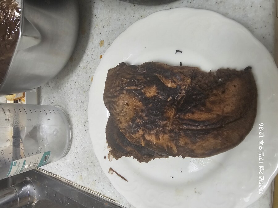 나 펜케이크가 원래 이렇게 부푸는건줄 몰랐음_3.jpg