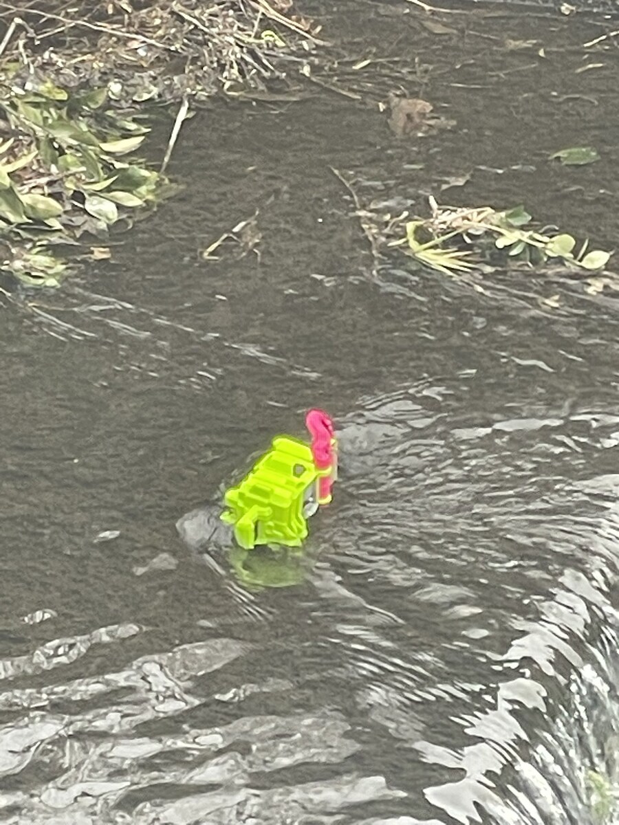 겨울철 강가에 가면.jpg_2.jpg