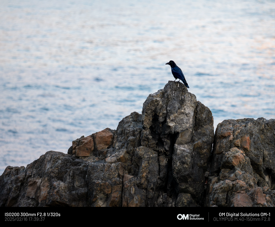 [사진] 5~60대 카톡 프사 모음집 나왔네ㅋㅋㅋ_4.webp