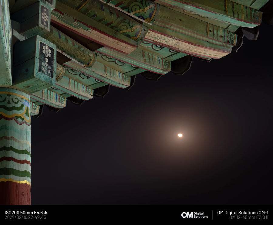 [사진] 5~60대 카톡 프사 모음집 나왔네ㅋㅋㅋ_8.webp