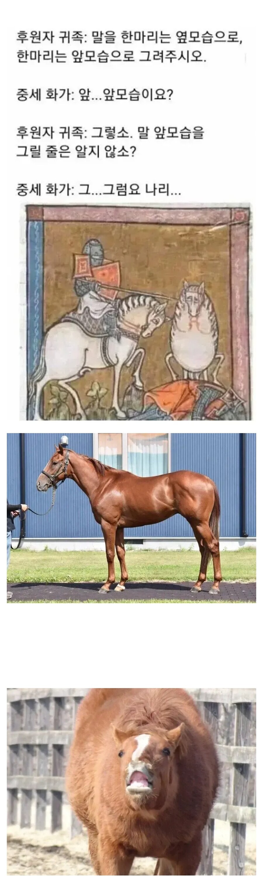 말을 앞모습으로 잘 그리지 않는 이유.jpg_1.jpg