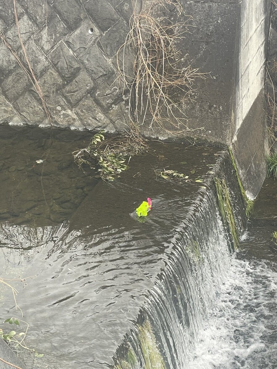 일본의 개천에 떠다니는것_1.jpg