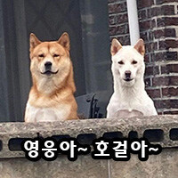 한국에서 광대가 웃긴 이유.jpg_4.jpg