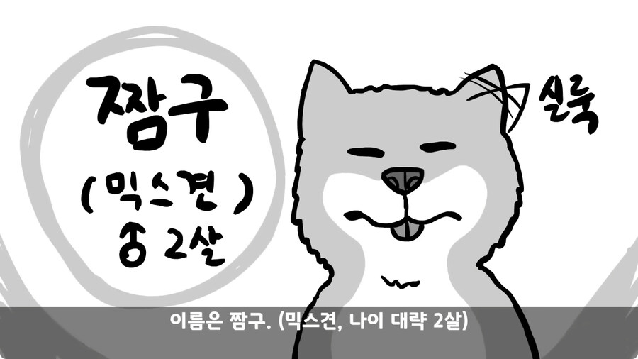 고라니 한 마리에게 해병대 1개 중대 전멸당한 썰.jpg_5.jpg