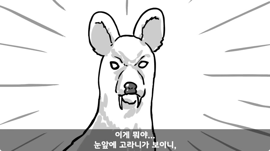 고라니 한 마리에게 해병대 1개 중대 전멸당한 썰.jpg_49.jpg