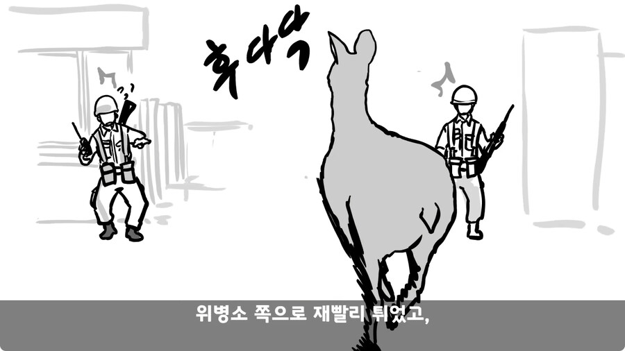 고라니 한 마리에게 해병대 1개 중대 전멸당한 썰.jpg_92.jpg
