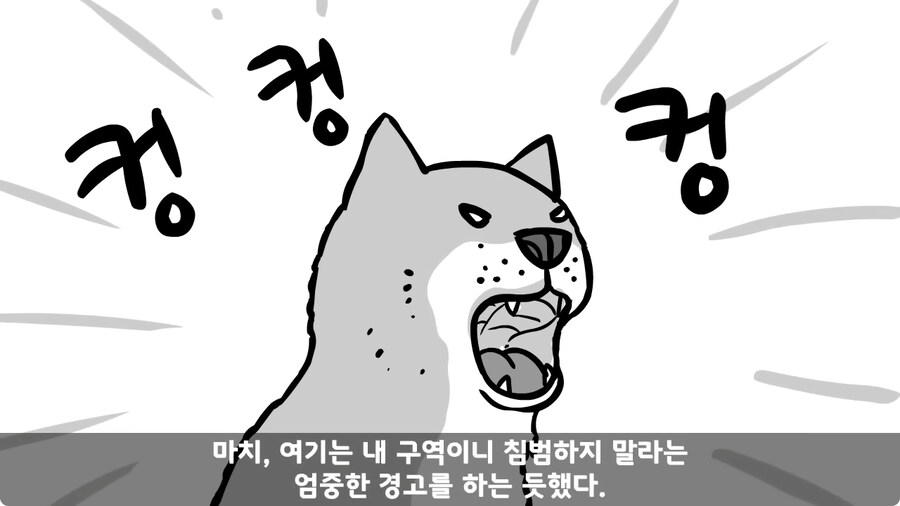 고라니 한 마리에게 해병대 1개 중대 전멸당한 썰.jpg_94.jpg