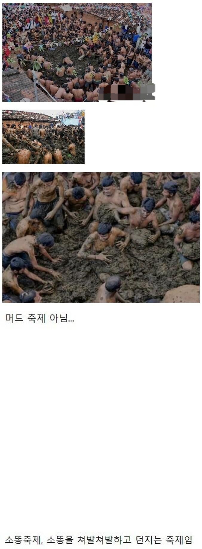 혐오스러운 인도의 축제 현장 (혐)_1.jpg
