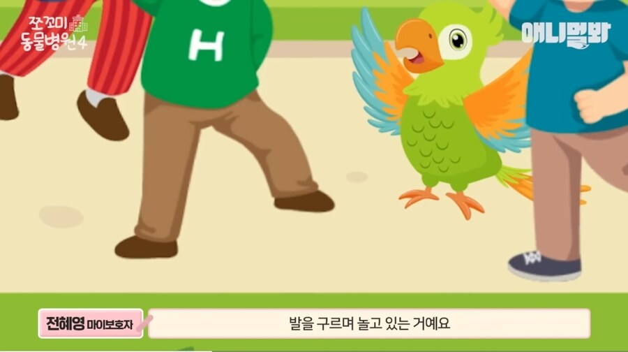 앵무새 다리 두동강 내버린 7살 아이들;;;_4.jpg