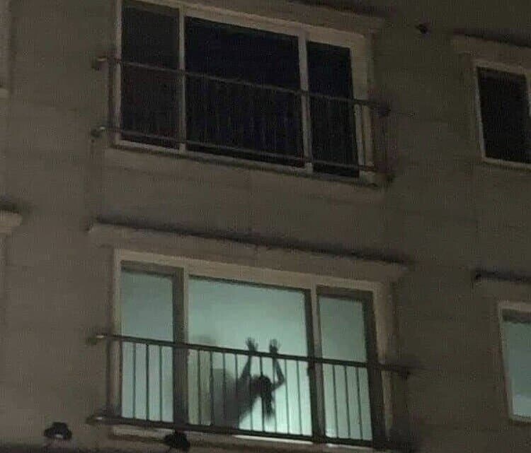 한국에 등장한 뒷치기 괴물_2.jpg