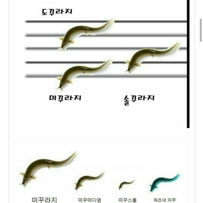 (미꾸라지유머) 안 웃기면 지구를 떠남_1.jpg