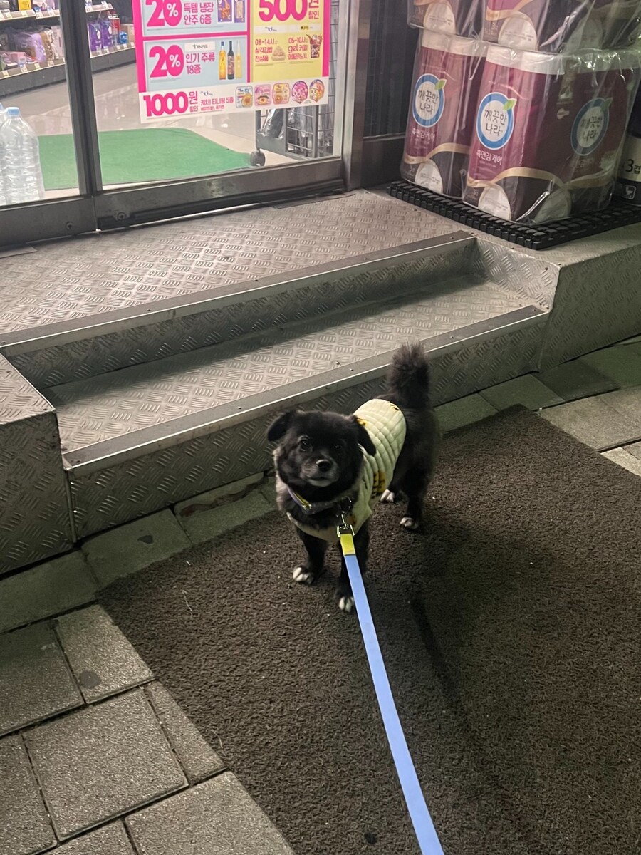 편의점에서 고구마 파는걸 개가 알게하면 안되는 이유.JPG_4.jpg