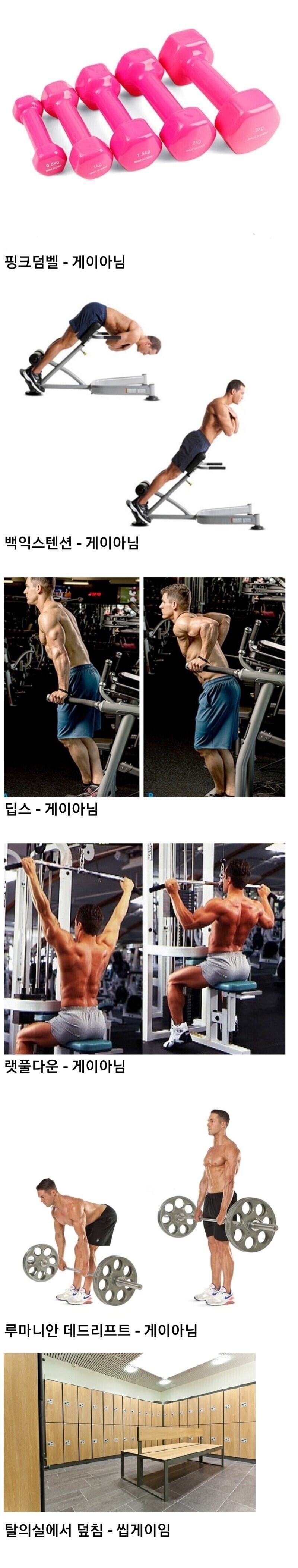 헬스장 게이 구별법...jpg_1.jpg