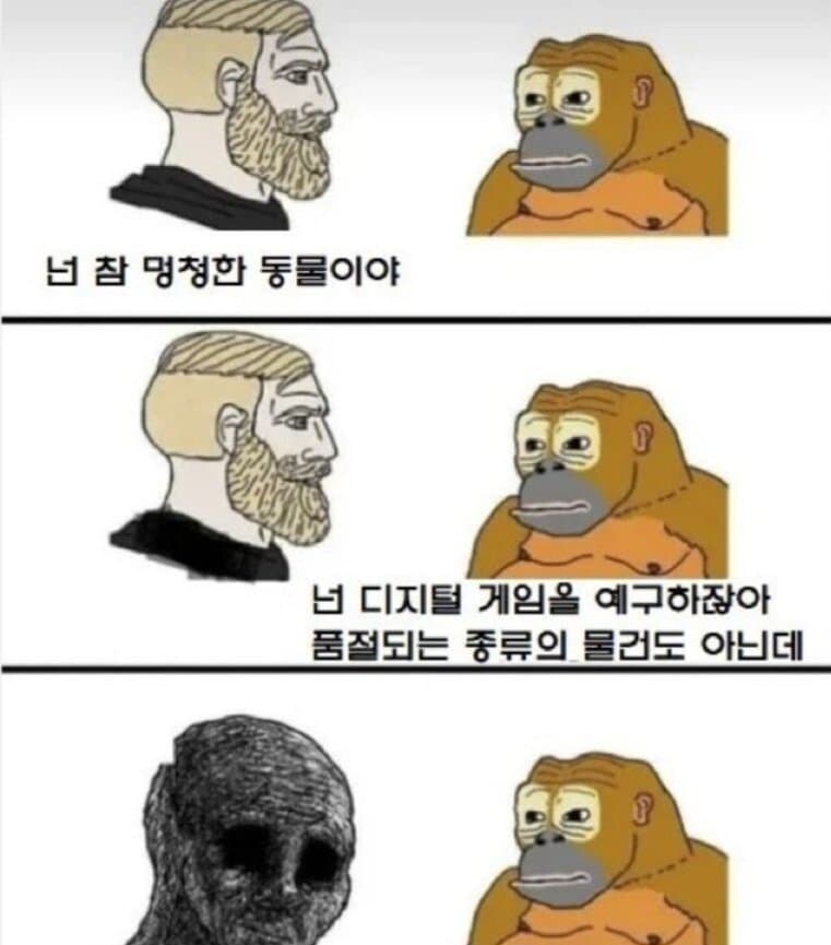 원숭이 한테 지능으로 카운터 당함_1.jpg