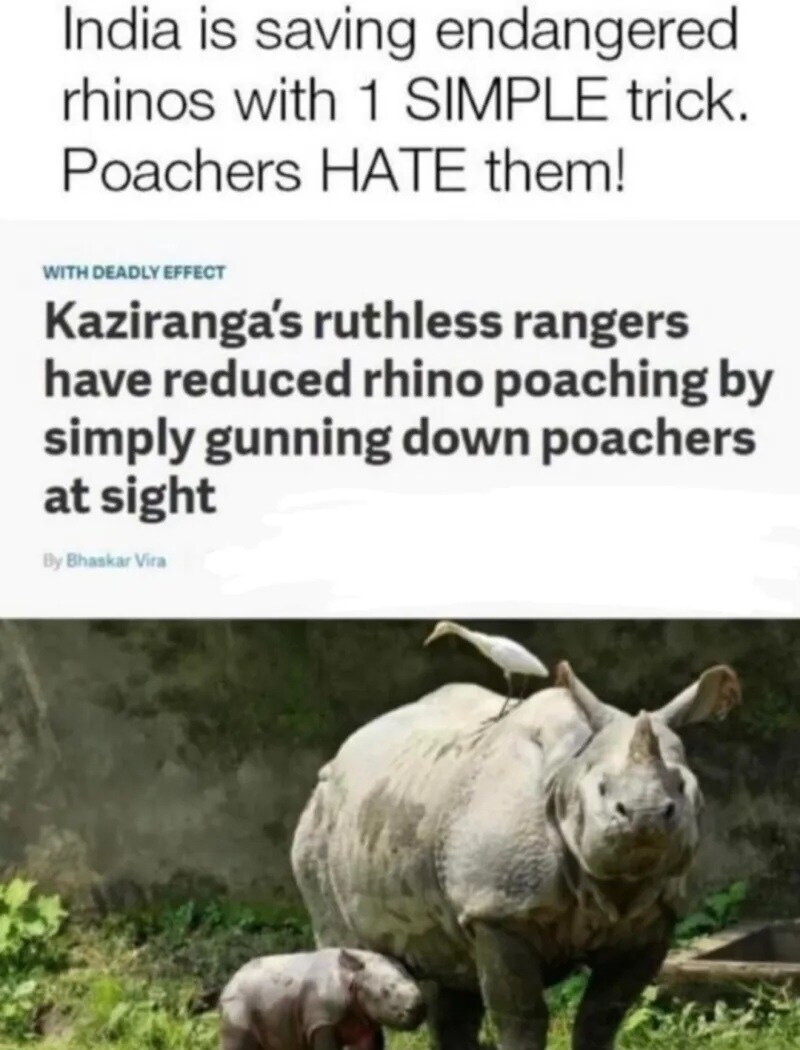 밀렵 문제를 해결하는 2개의 효과적인 방법_2.jpg