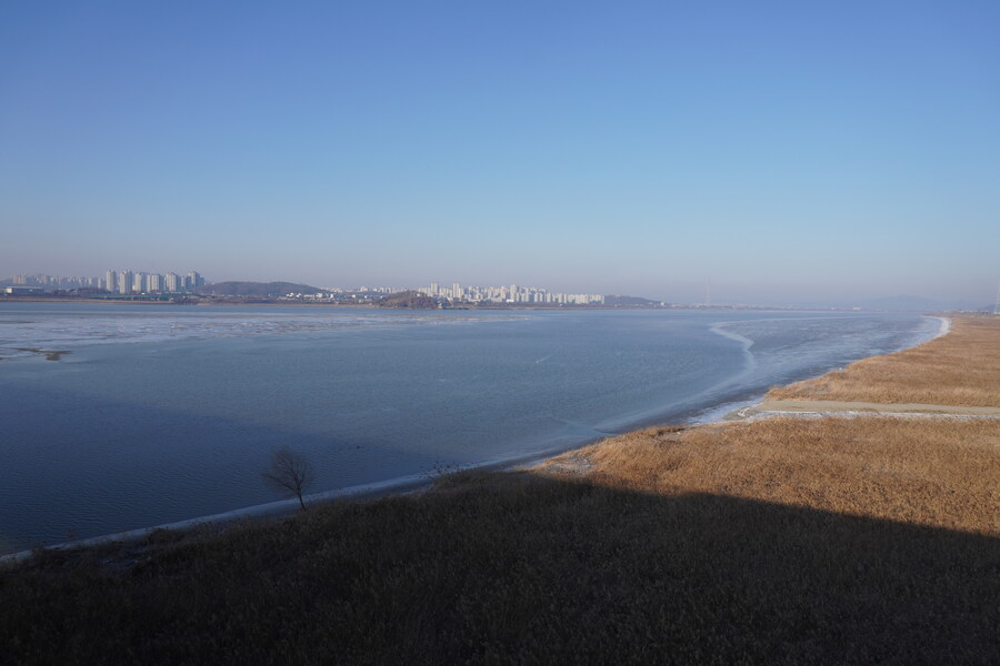 25년 첫 탐조_5.jpg