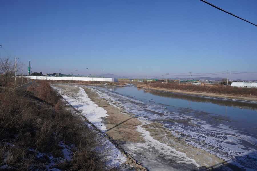 25년 첫 탐조_31.jpg