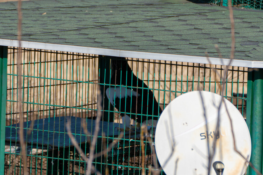 25년 첫 탐조_58.jpg