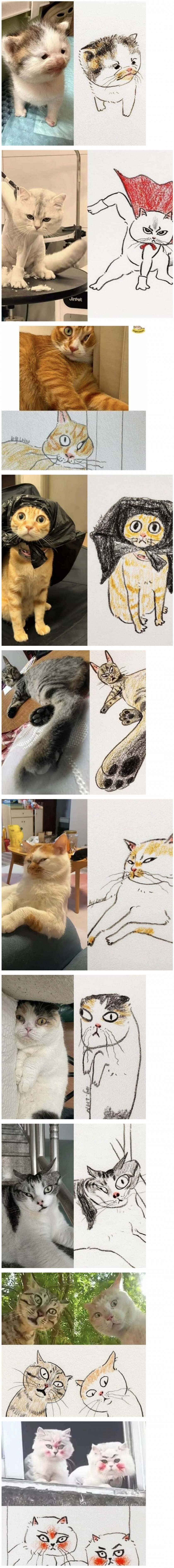 사진보고 고양이 그리기_1.jpg