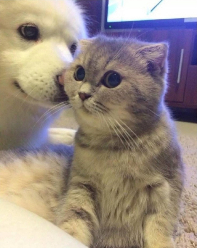 조랭이 떡은 너야_1.jpg