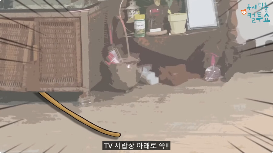 억울한 형제.jpg_77.jpg