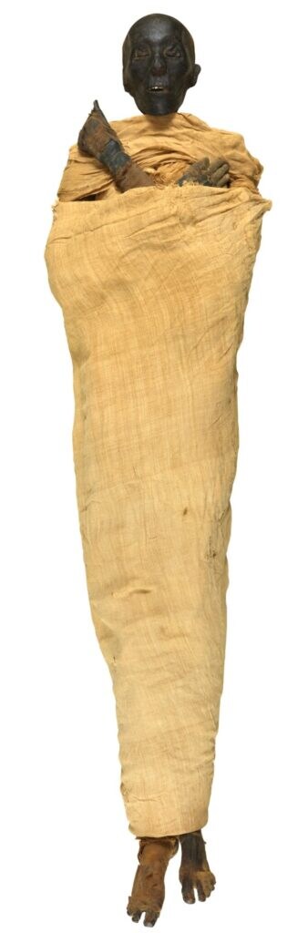 이집트 발굴 근황.news_4.jpg