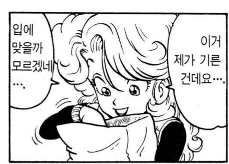 닥터슬러프)슬럼프 박사의 결혼에피소드 보면.jpg_4.jpg