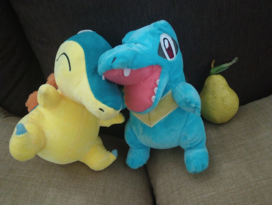 외국에서 올린 포켓몬 2세데 스타터 ㅋㅋㅋ_1.png