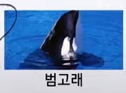 용과같이8 외전 오우나바라 정답_3.png