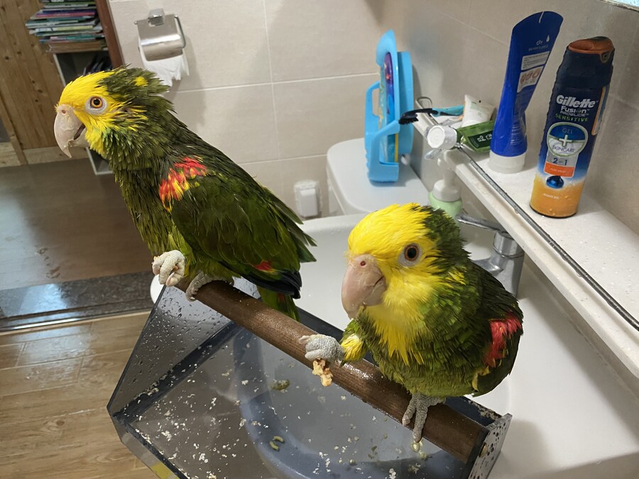 샤워 후 먹는 호두가 제맛이지~_2.jpg