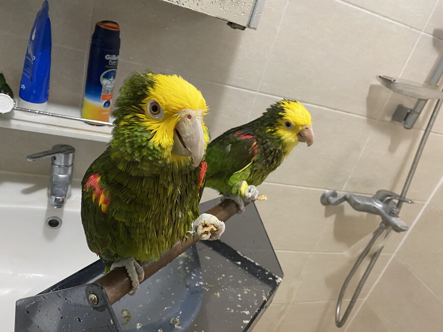 샤워 후 먹는 호두가 제맛이지~_5.jpg