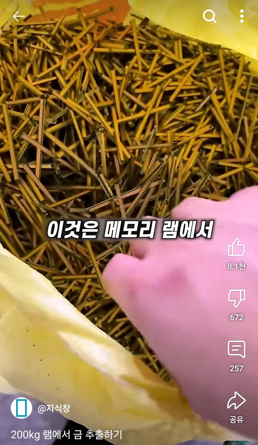 황금) 현재 골드러쉬_1.jpg