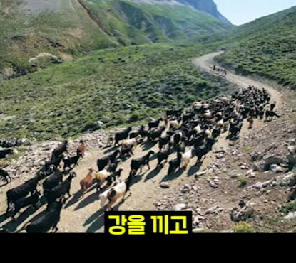 속담에 나오는 강남의 진실.jpg_16.jpg