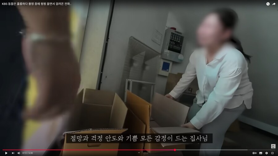 베스트의 고양이 유투버가 진짜 의심스러운 이유_2.png