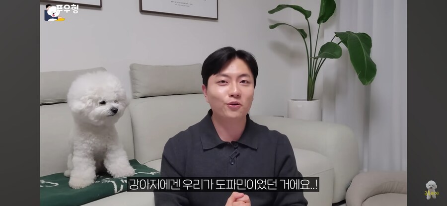 의외로 강아지에게 도파민 펌핑이 되는 행동_6.png