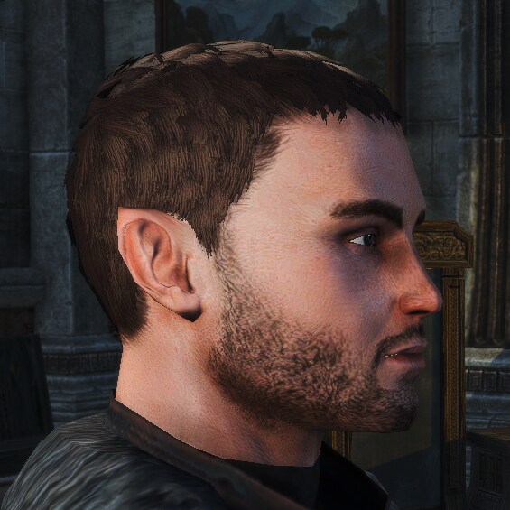 스카이림에 하프엘프가 단 한마리도 안나오는 이유_1.png