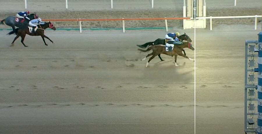 K-경마, 말딸 혈통) 위너영 (BMS: 네오 유니버스) 늦출발에 추입으로 우승._2.png