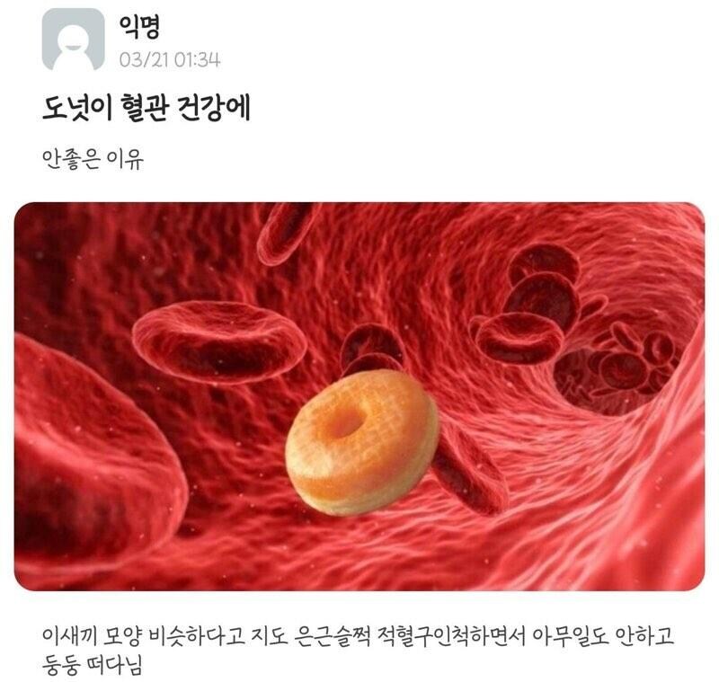 도넛이 혈관 건강에 안 좋은 이유_1.jpg