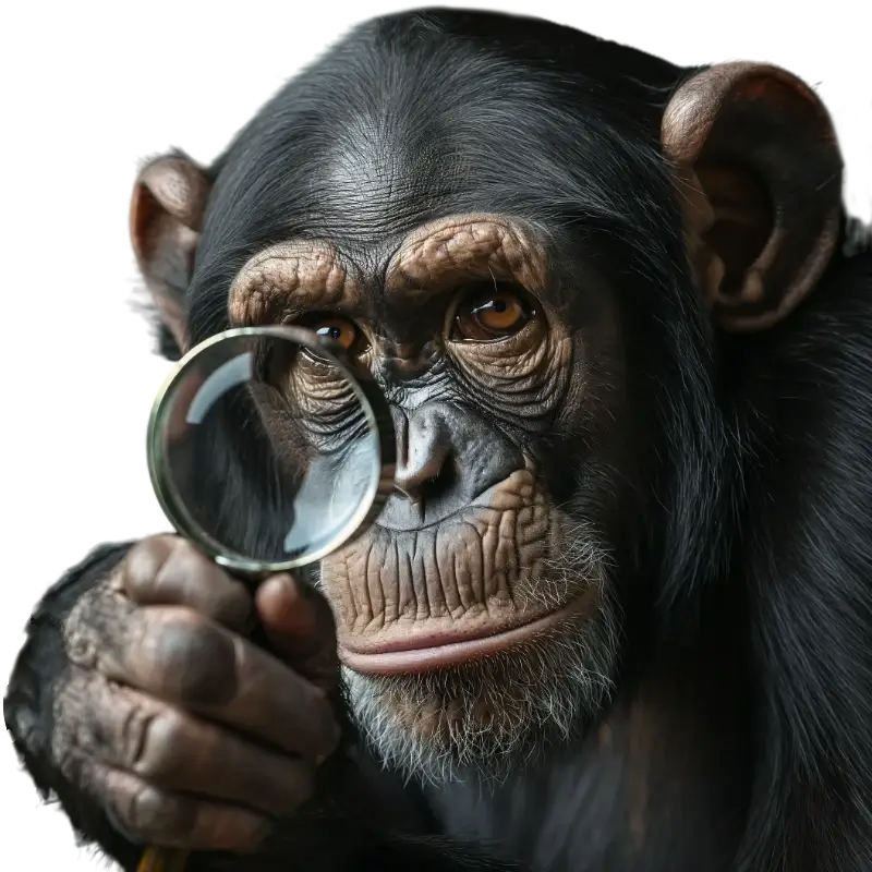 타커뮤 떡밥 돈 김에 가끔 궁금한게_2.webp