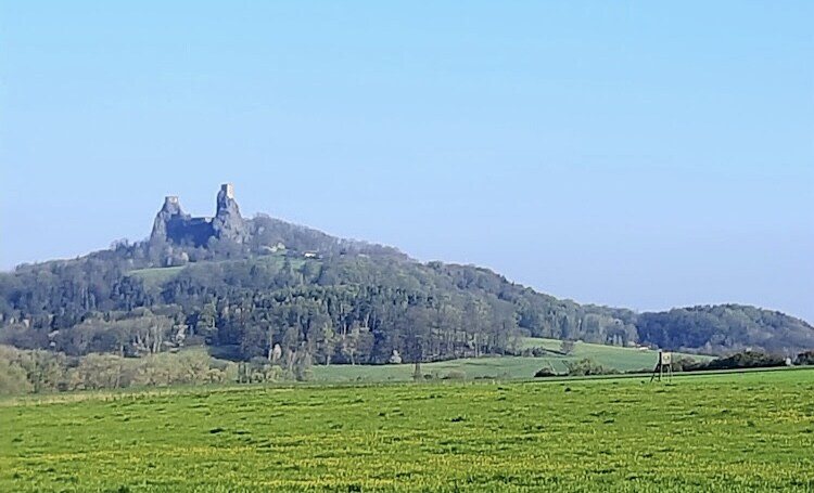 최근 게임때문에 갑자기 방문객이 늘어나고 있다는 시골 깡촌_2.jpg