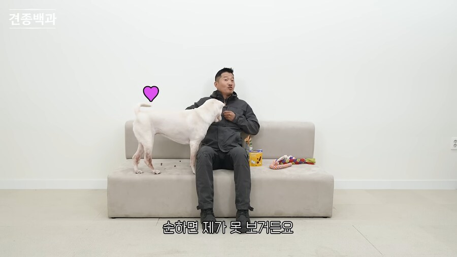 강형욱이 보기 힘들다는 개_2.png