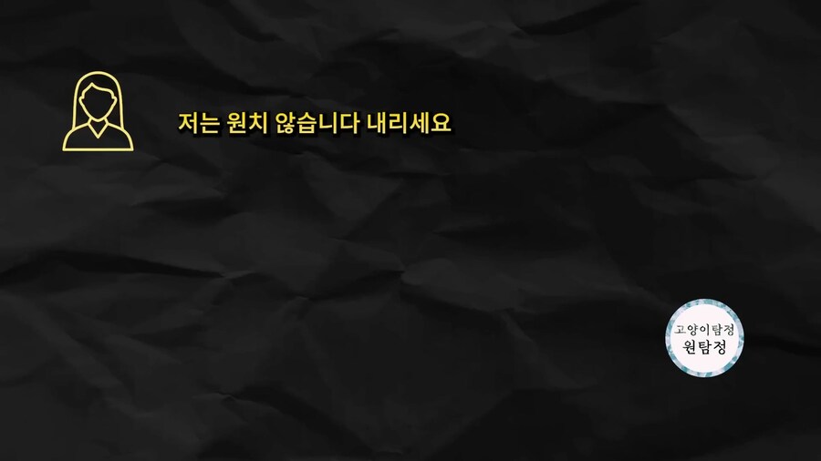 먹튀 고양이 유튜버 근황._4.jpg