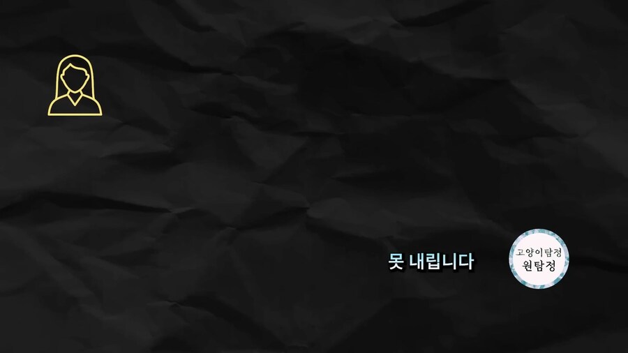 먹튀 고양이 유튜버 근황._5.jpg