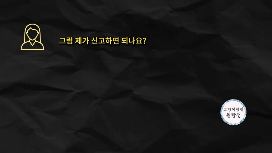 먹튀 고양이 유튜버 근황._6.jpg